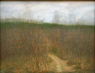 Coppice a Sint-Martens-Latemben